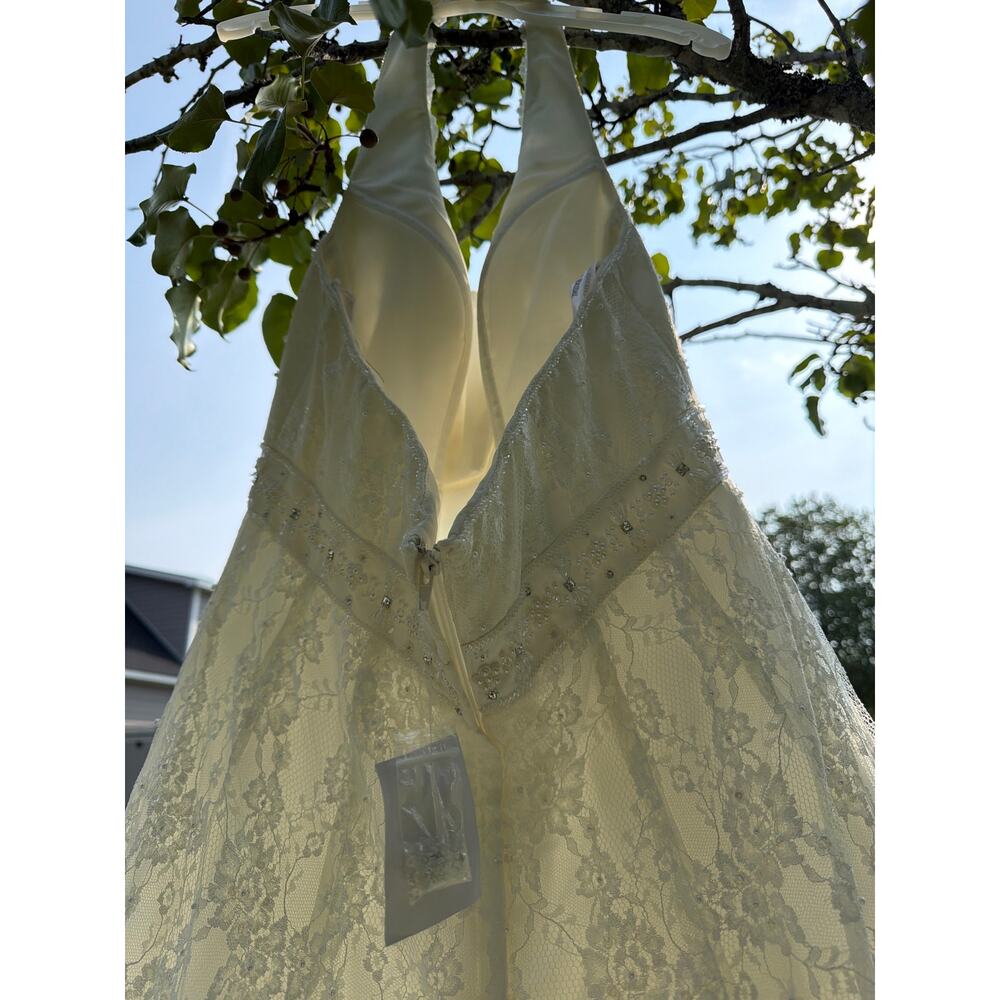 Sz 16 David Bridal wedding dress - Picture 5 of 10